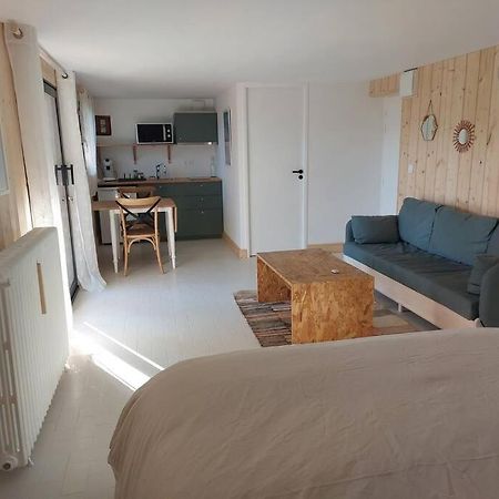 Studio Chez Suzanne Saint-Jorioz Exteriér fotografie
