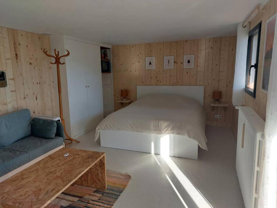Studio Chez Suzanne Saint-Jorioz Exteriér fotografie